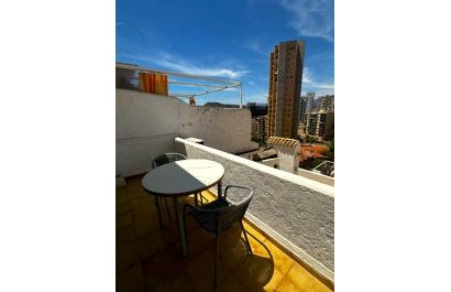 Apartamento / piso - Segunda mano -
            Benidorm - 135-25