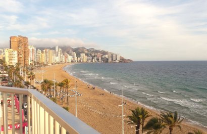 Apartamento / piso - Segunda mano - Benidorm - Levante