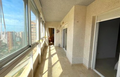 Apartment / flat - Resale - Benidorm -
                Centro