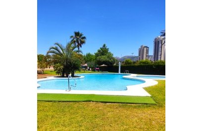 Apartment / flat - Resale - Benidorm -
                Zona de Poniente