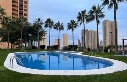 Apartment / flat - Resale - Benidorm -
                Zona de Poniente