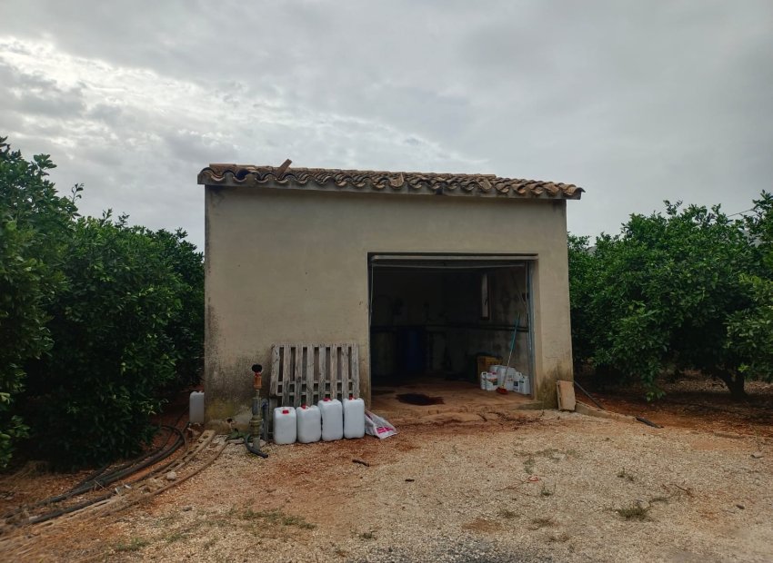 apeo de labranza - En venta parcela rústica en Pedreguer, Alicante, Costa Blanca