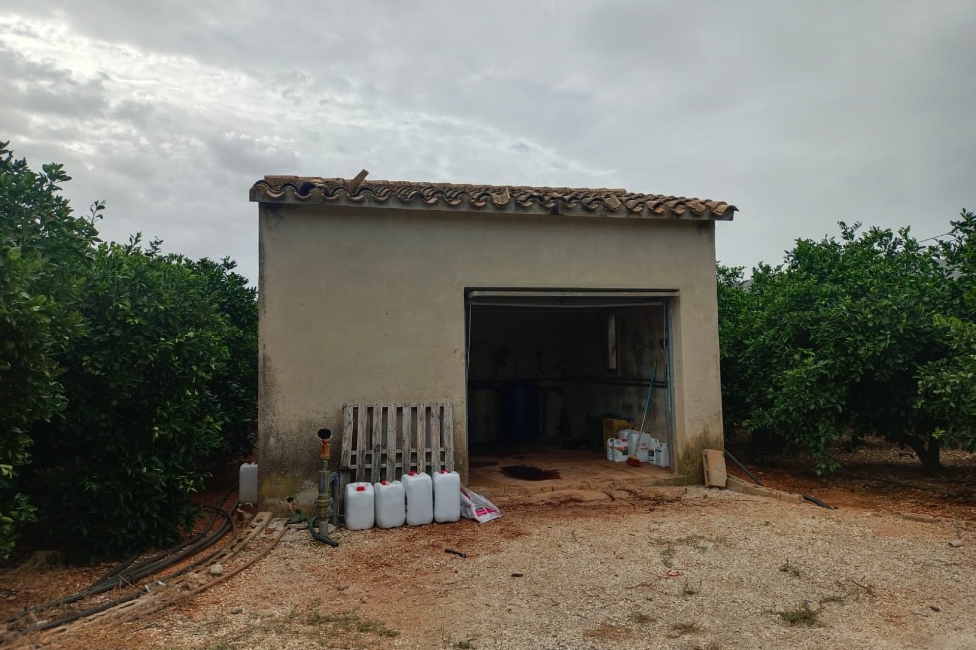 apeo de labranza - En venta parcela rústica en Pedreguer, Alicante, Costa Blanca