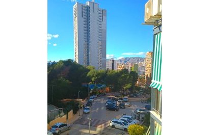 Appartement / flat - Herverkoop -
            Benidorm - 23-25