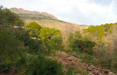 Działka / Grunt - Odsprzedaż / Rynek wtórny - Altea -
                Altea