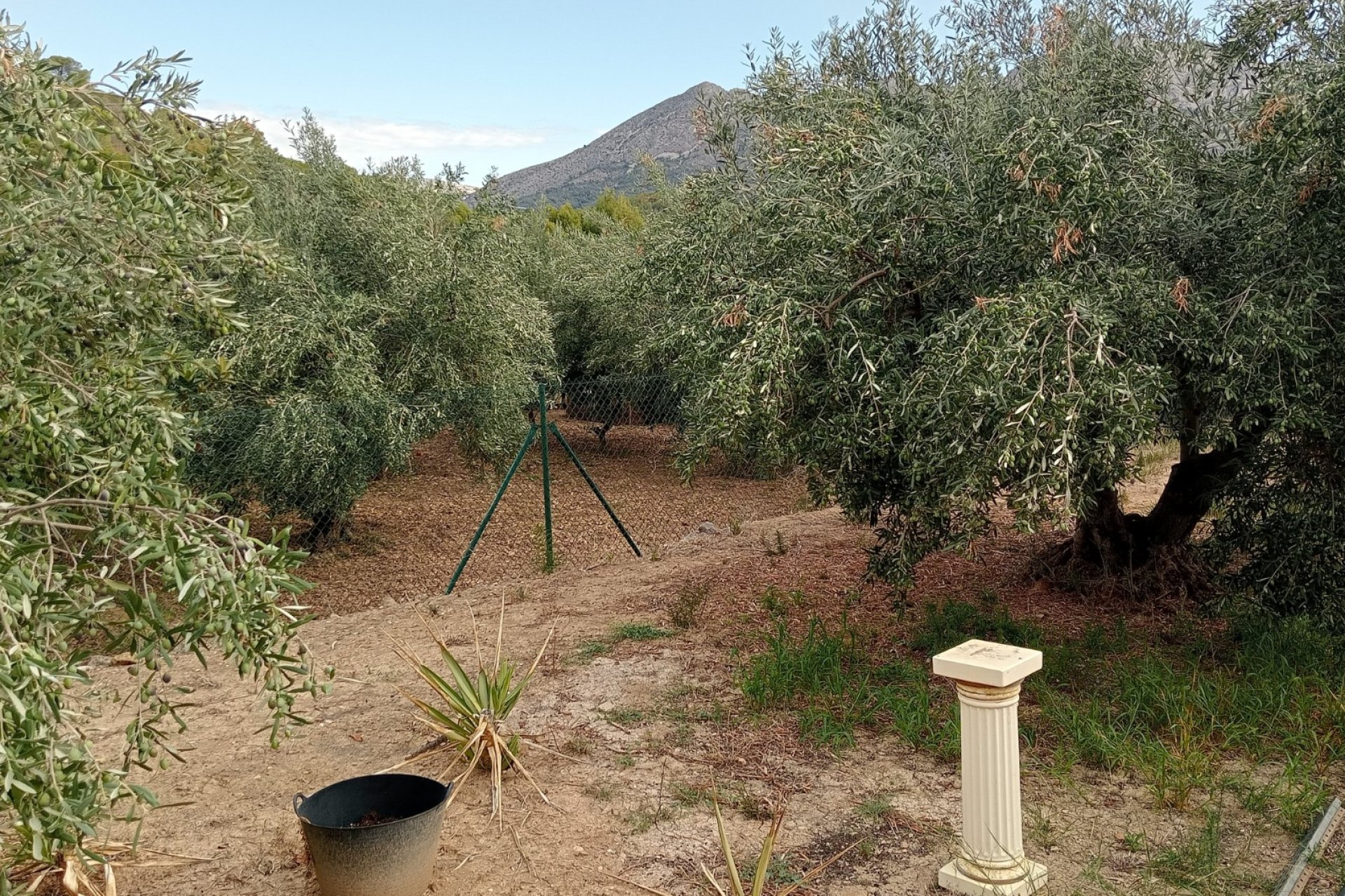 EN VENTA TERRENO RÚSTICO AGRARIO