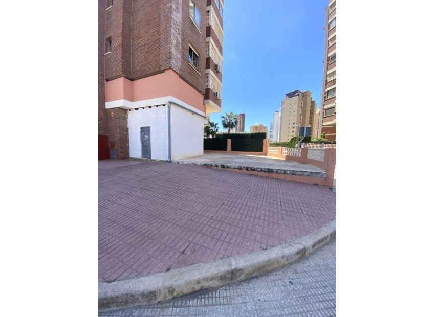 Fachada - Local en Benidorm (Alicante - Costa blanca)