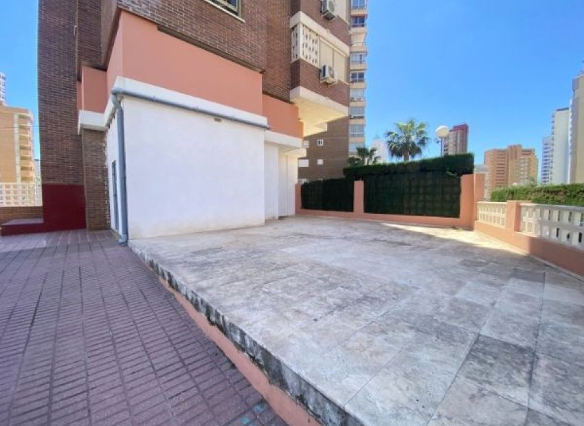 Fachada - Local en Benidorm (Alicante - Costa blanca)