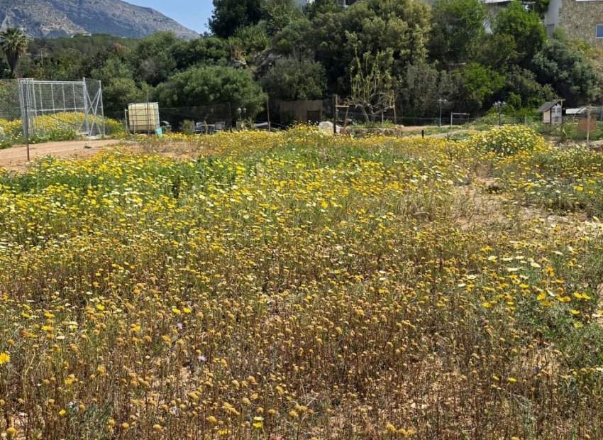 Herverkoop -  -
Altea - Olla Altea