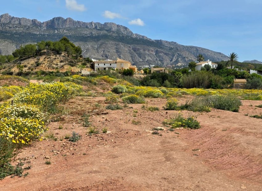 Herverkoop -  -
Altea