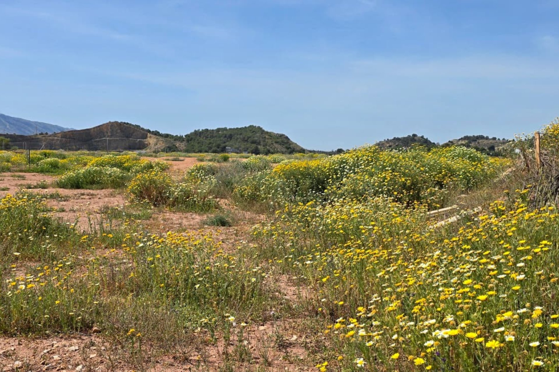 Herverkoop -  -
Altea