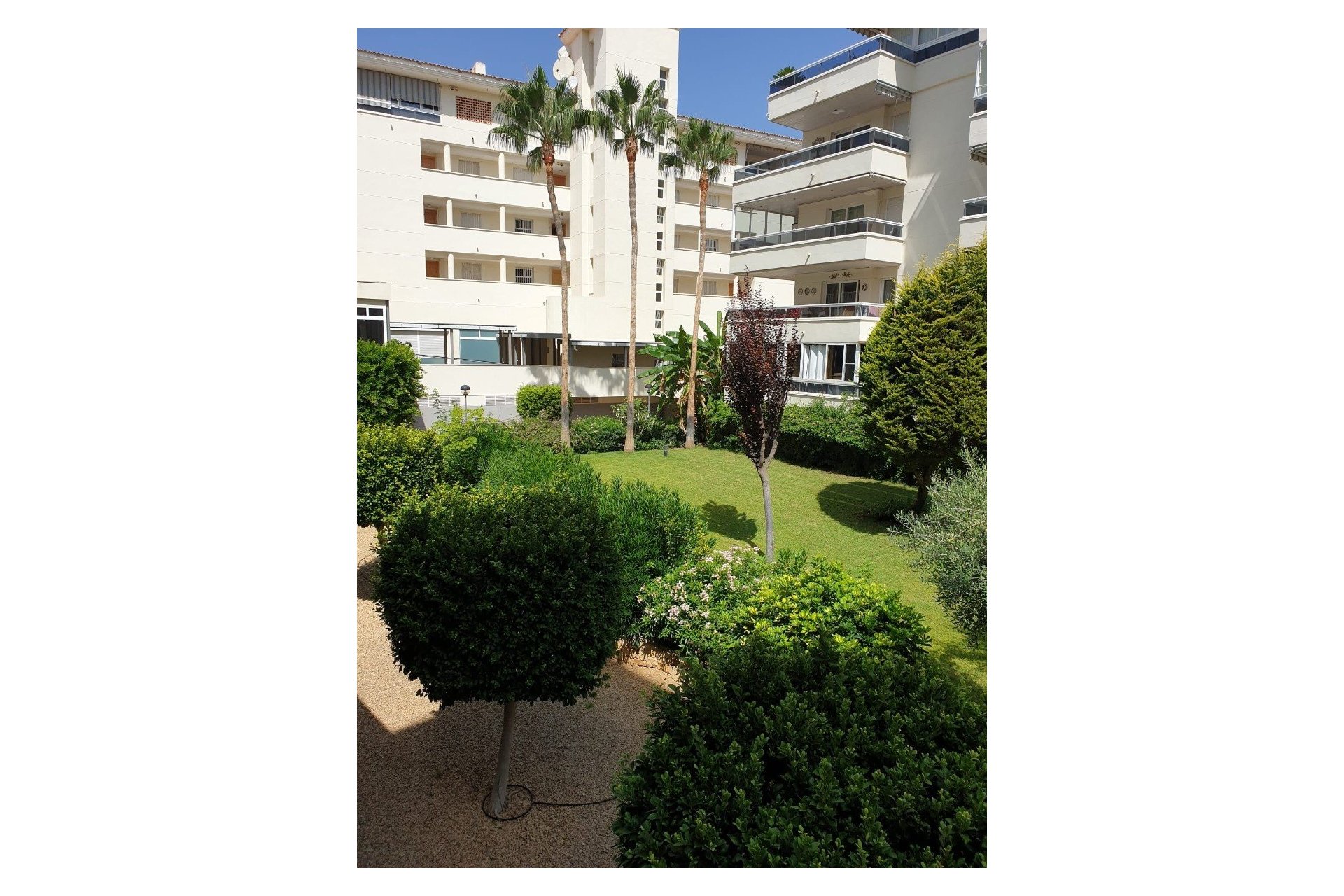 Herverkoop - Appartement / flat -
Albir - center