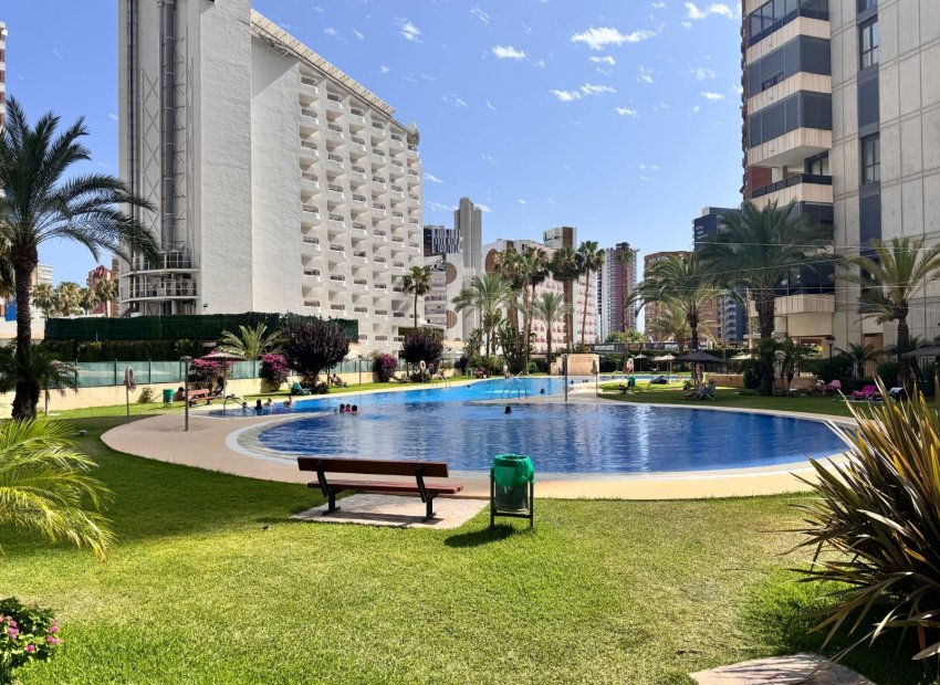 Herverkoop - Appartement / flat -
Benidorm - Levante