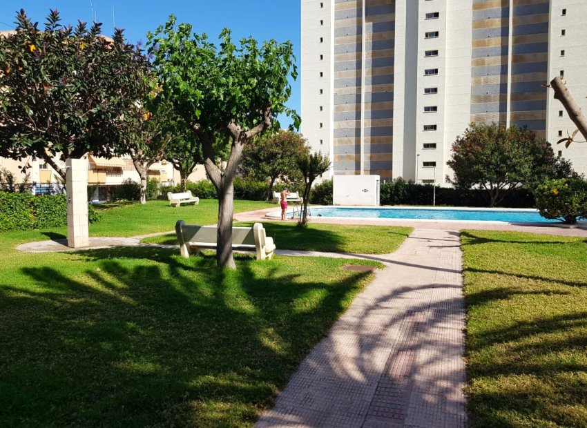 Herverkoop - Appartement / flat -
Benidorm - Levante