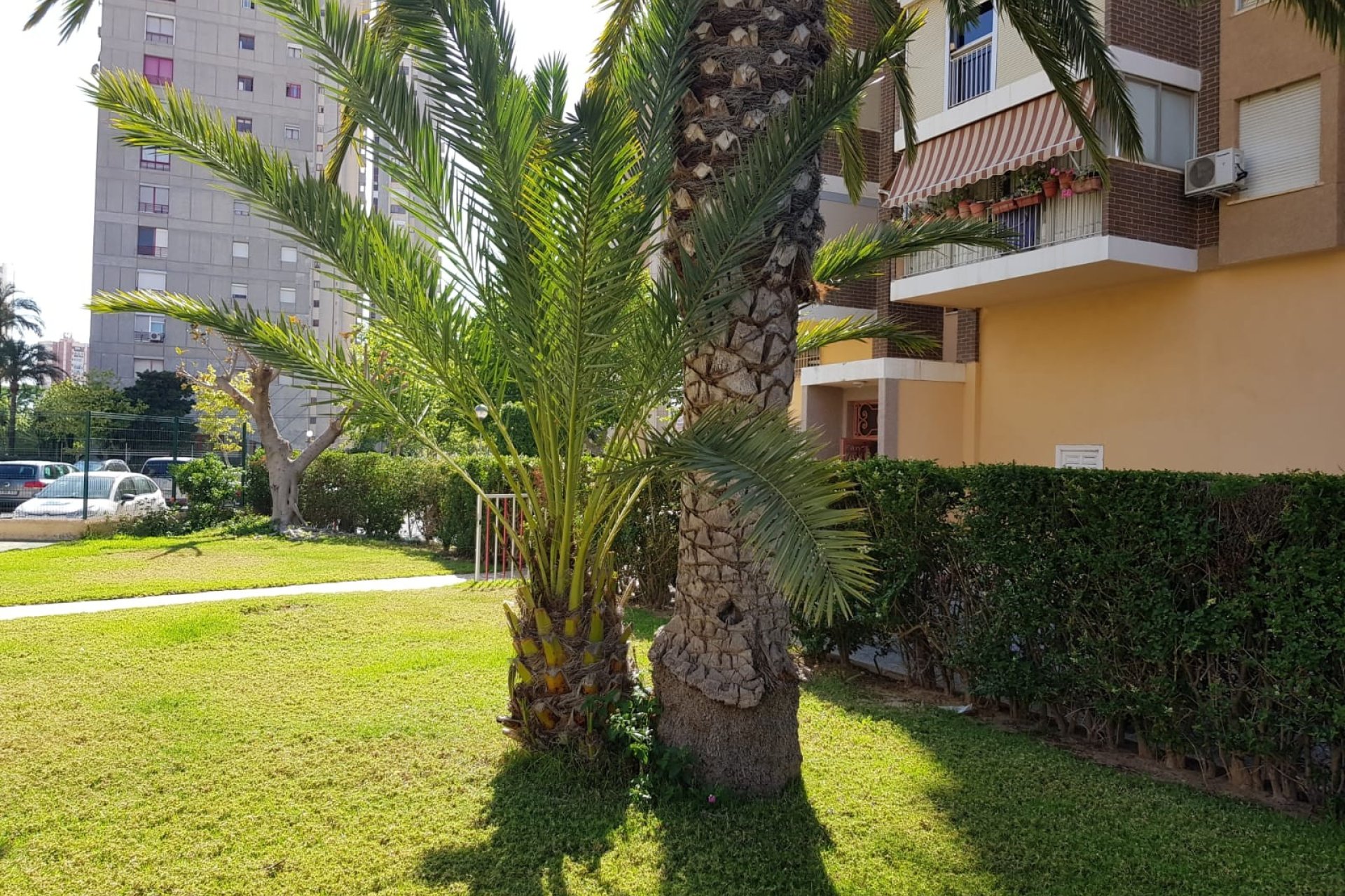 Herverkoop - Appartement / flat -
Benidorm - Levante