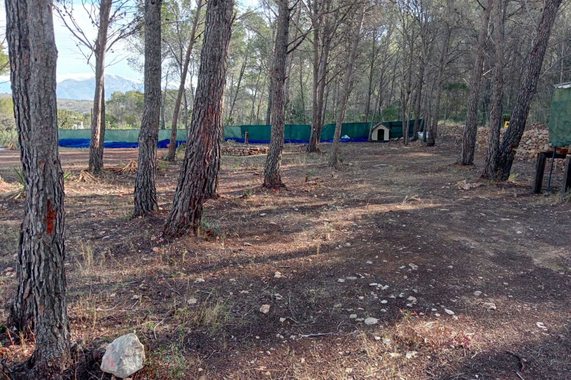 Herverkoop - Perceel / Grond -
Finestrat - Finestrat pueblo