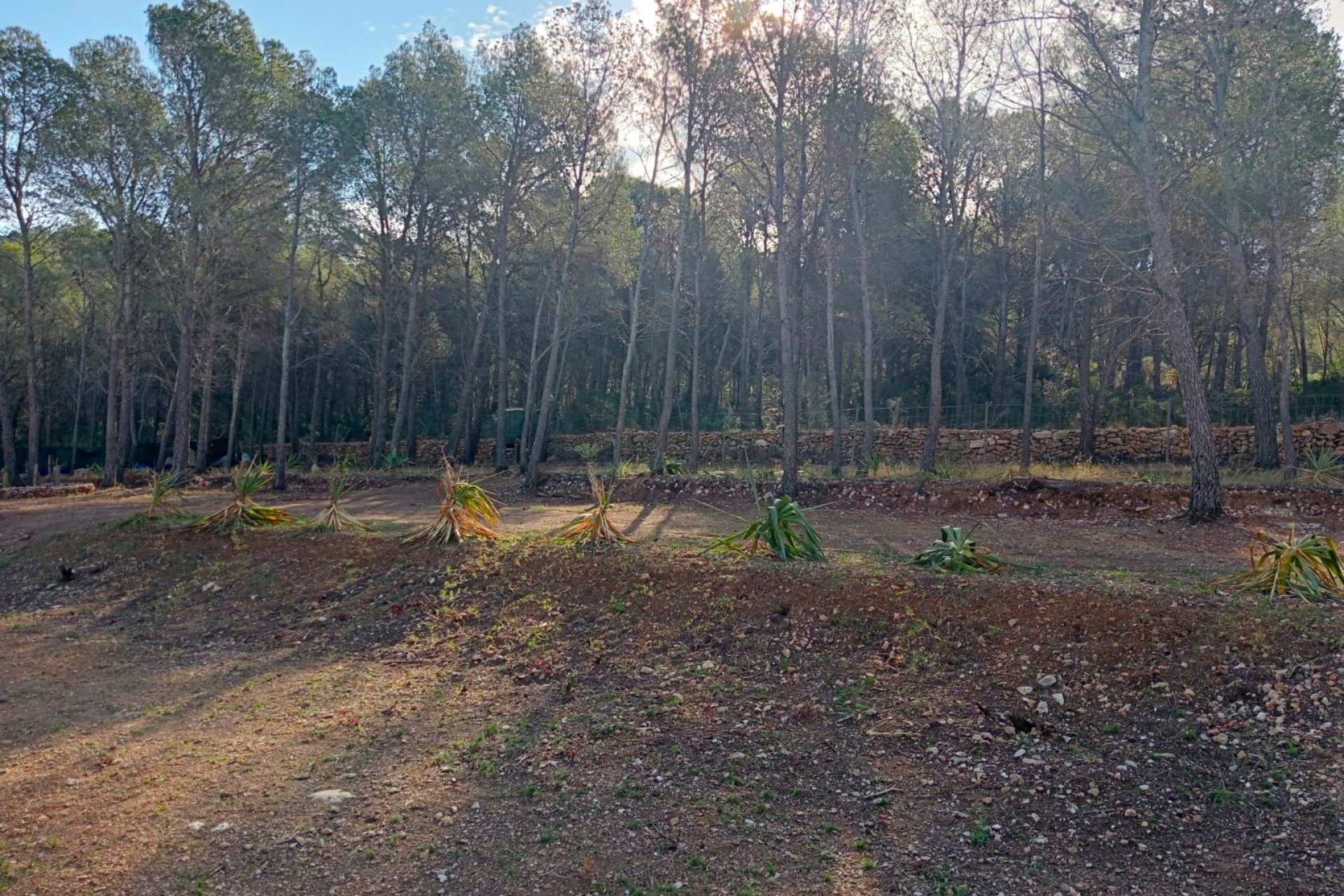 Herverkoop - Perceel / Grond -
Finestrat - Finestrat pueblo