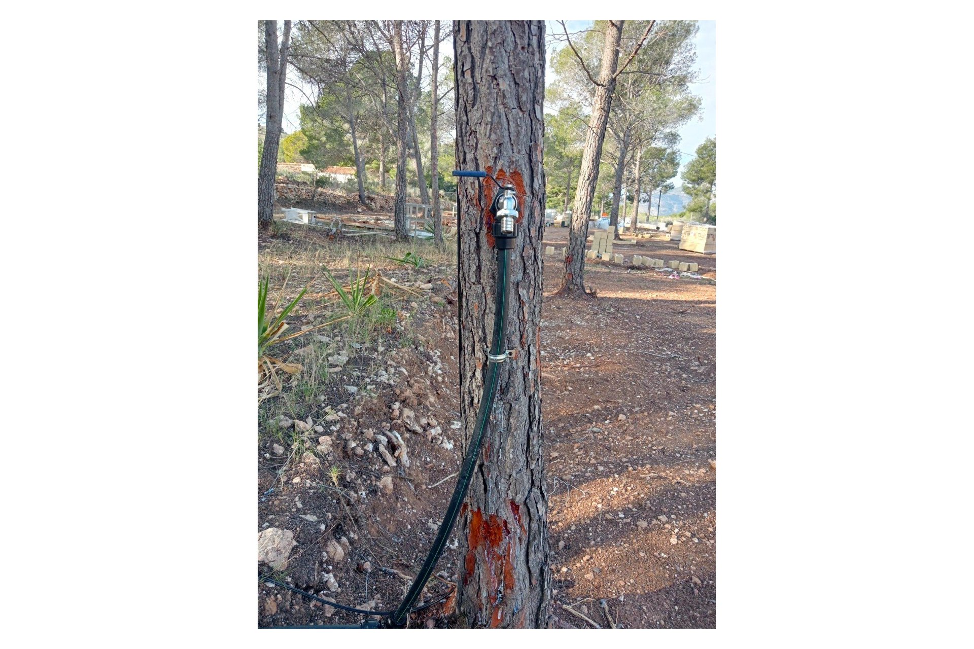 Herverkoop - Perceel / Grond -
Finestrat - Finestrat pueblo