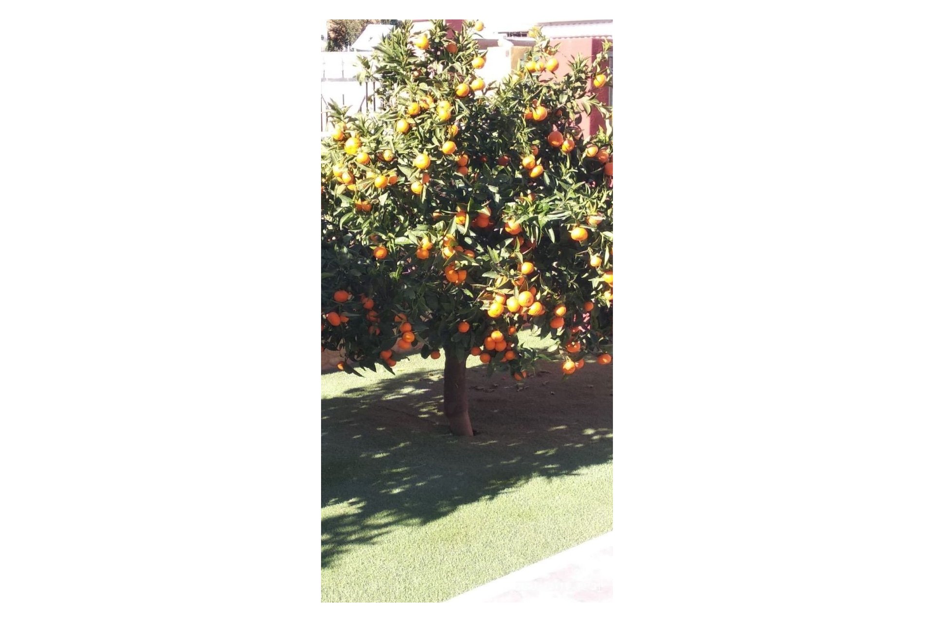 Herverkoop - Vrijstaande woning -
Finestrat - Finestrat pueblo