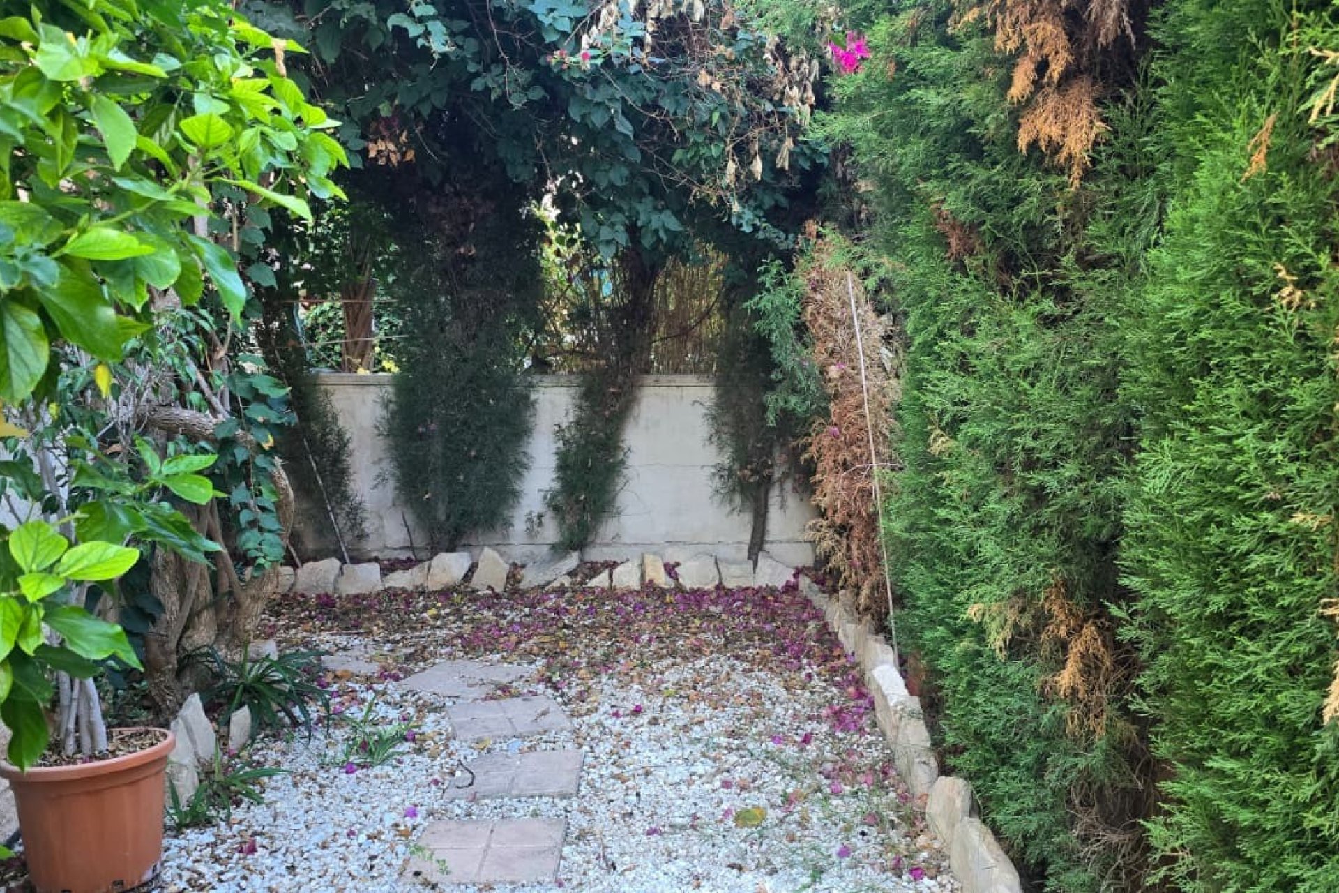 Jardín - Chalet adosado en venta en Albir - (Costa Blanca - Alicante)