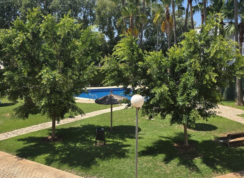 Jardín - Piso en Denia - (Costa Blanca - Alicante)