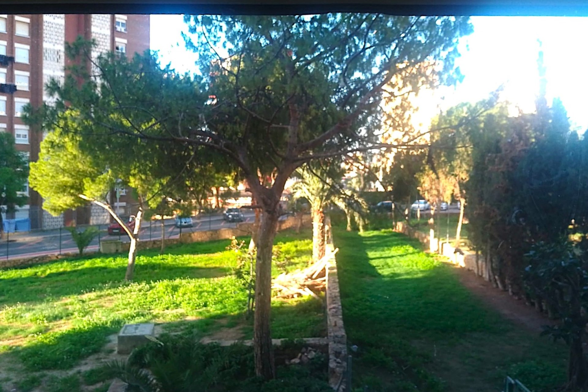 Jardin - Studio Rénové et Accueillant dans l’Immeuble Playmon – Pueblo Levante, Benidorm (Costa Blanca)