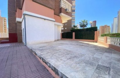Local  - Herverkoop -
            Benidorm - P 143-23