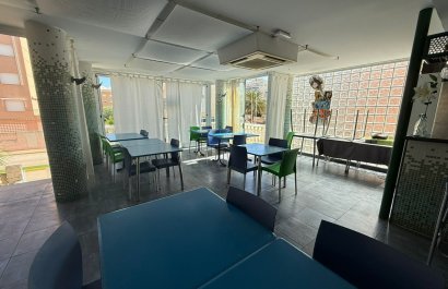 Local  - Segunda mano -
            Piles - 172-25