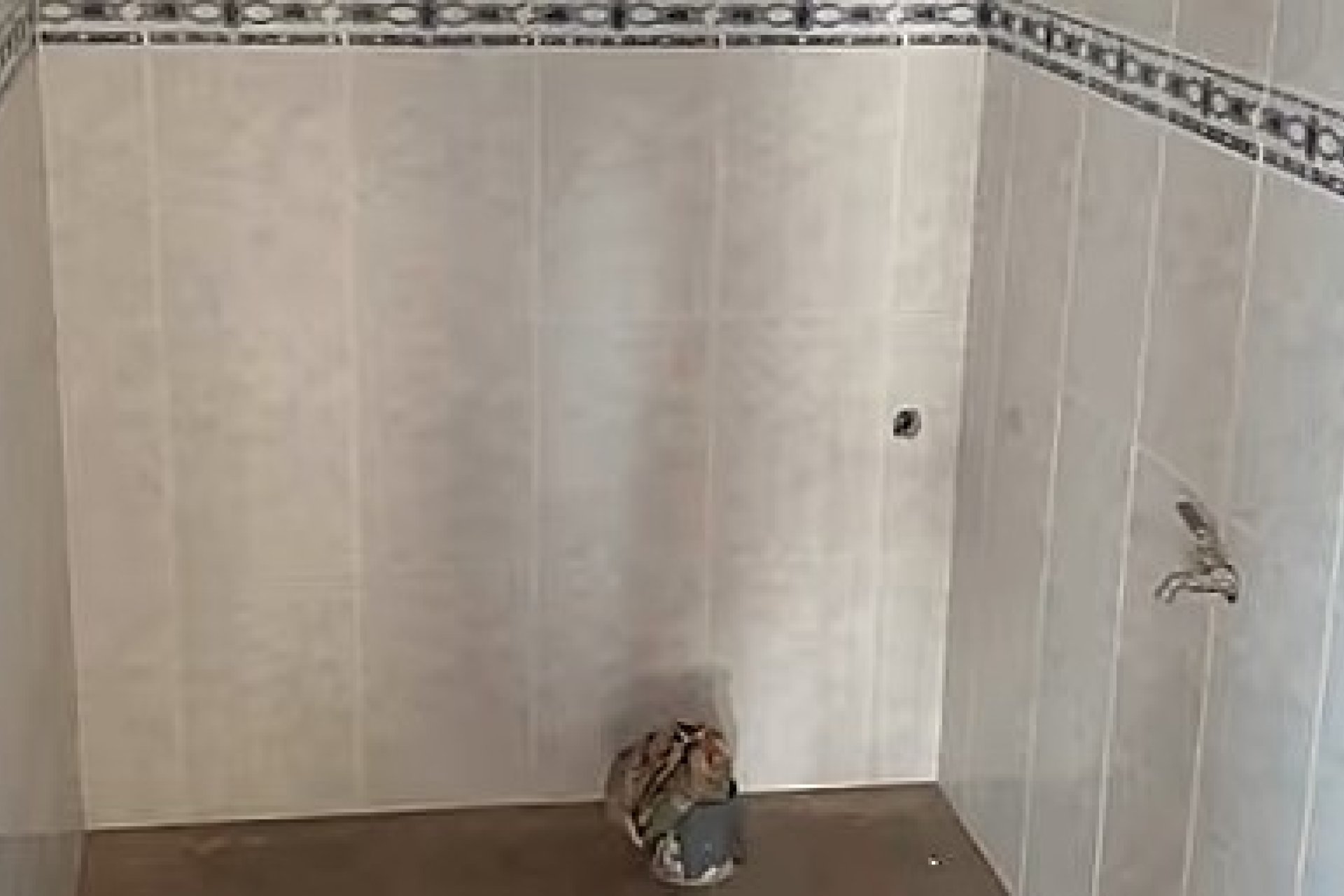 Long Term Rental - Local  -
Callosa De Ensarrià