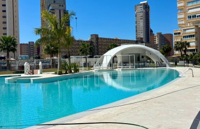 Mieszkanie - Odsprzedaż / Rynek wtórny -
            Benidorm - 36-26