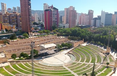 Mieszkanie w bloku - Odsprzedaż - Benidorm -
                Zona de Poniente