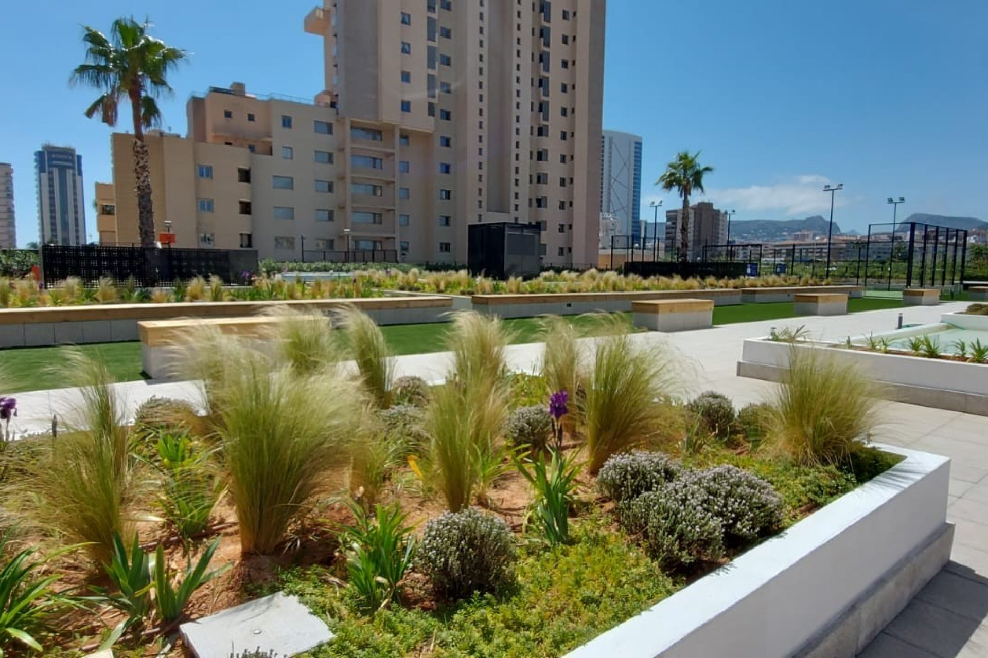 Neue Gebäude - Penthouse -
Calpe - Zona Playa del Bol - Puerto