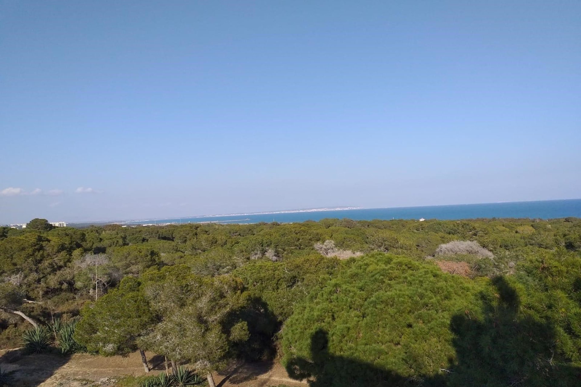 Neue Gebäude - Wohnung -
Guardamar del Segura - Guardamar Playa