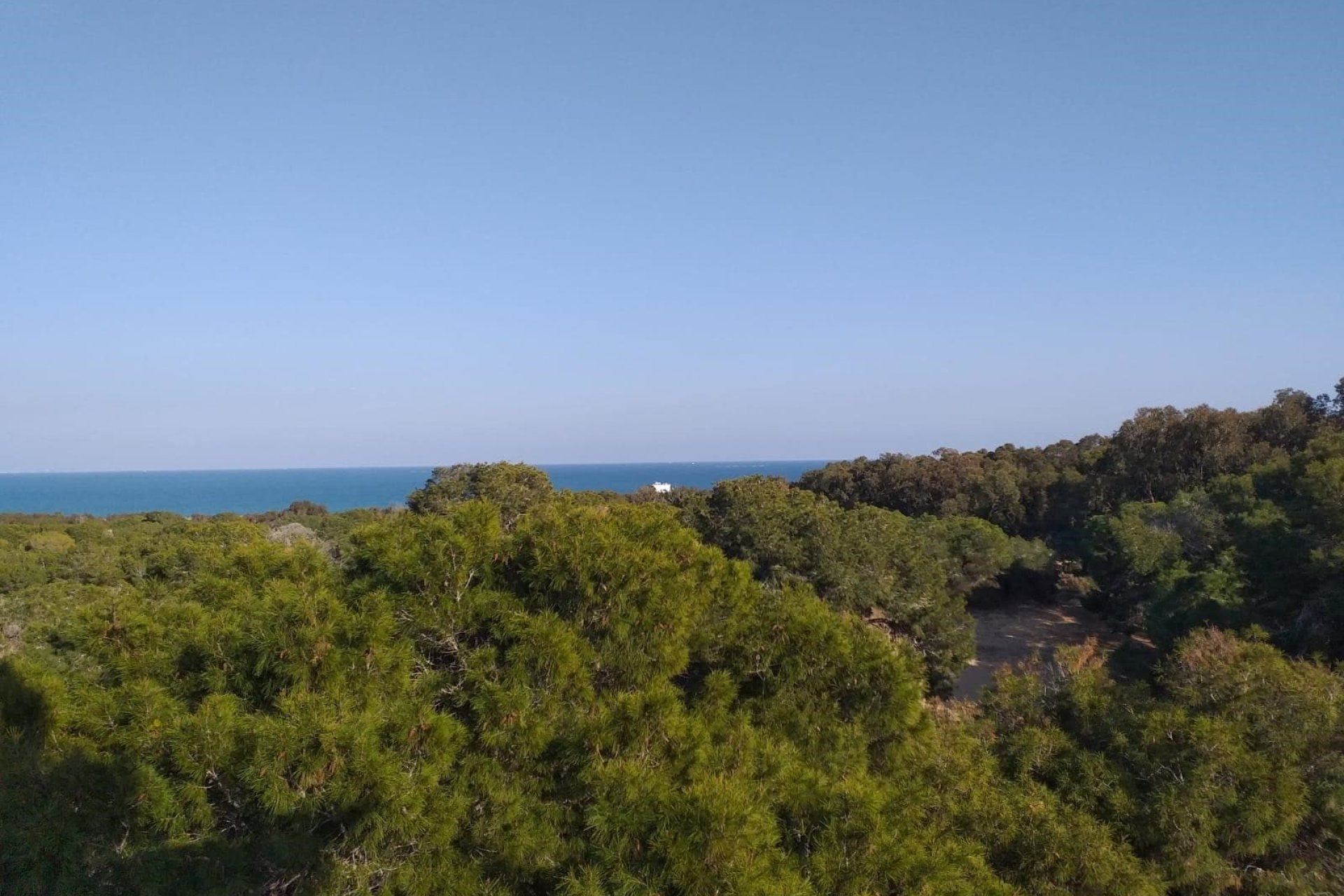 Neue Gebäude - Wohnung -
Guardamar del Segura - Guardamar Playa