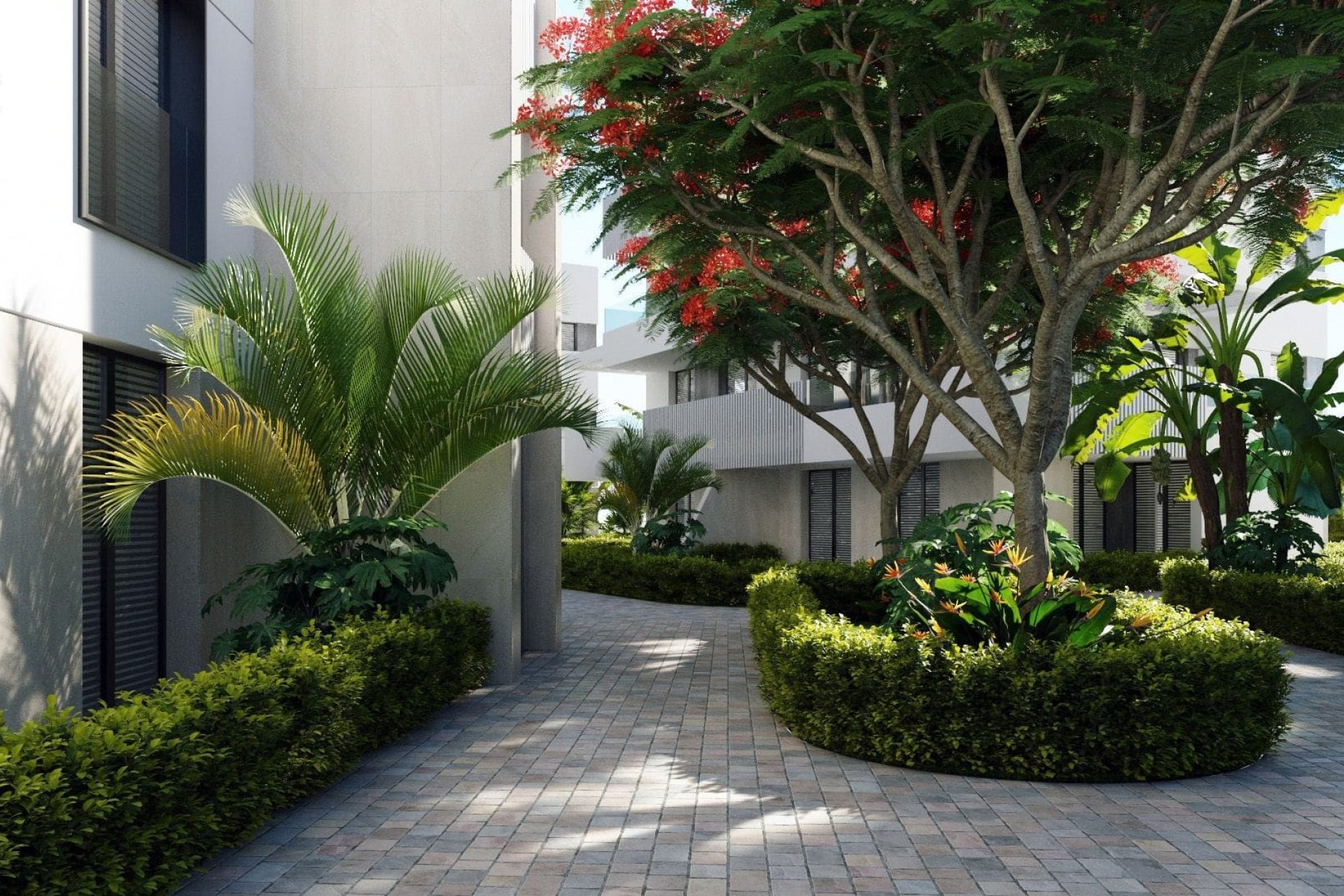 Neue Gebäude - Wohnung -
Torre Pacheco - 