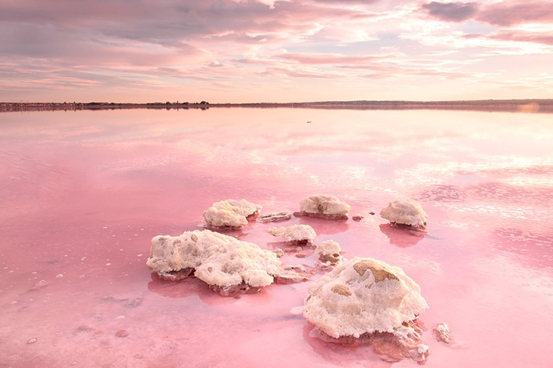 New Build - Apartment / flat -
Torrevieja - Nueva Torrevieja - Aguas Nuevas