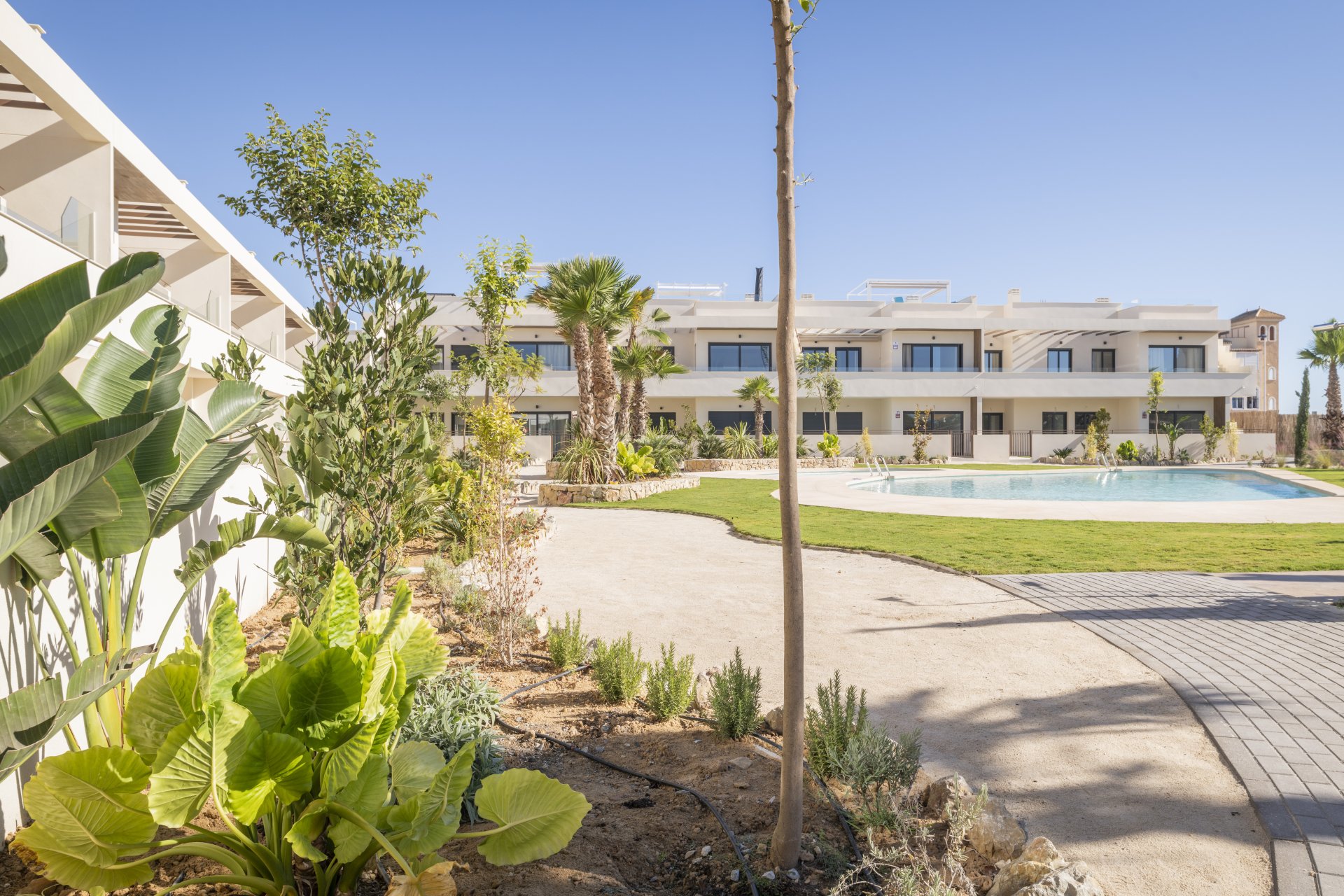 New Build - Townhouse -
Torrevieja - El Acequión - Los Náufragos