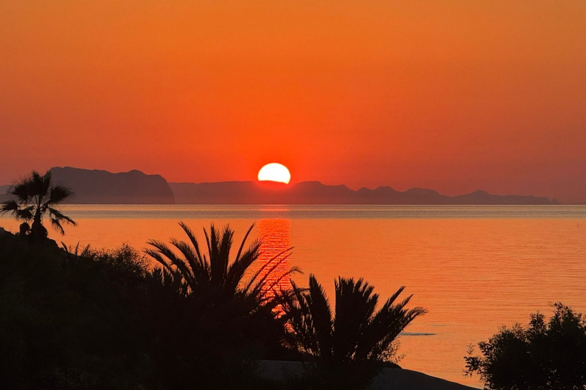 New Build - Villa -
 Cuevas de Almanzora - Cala Panizo