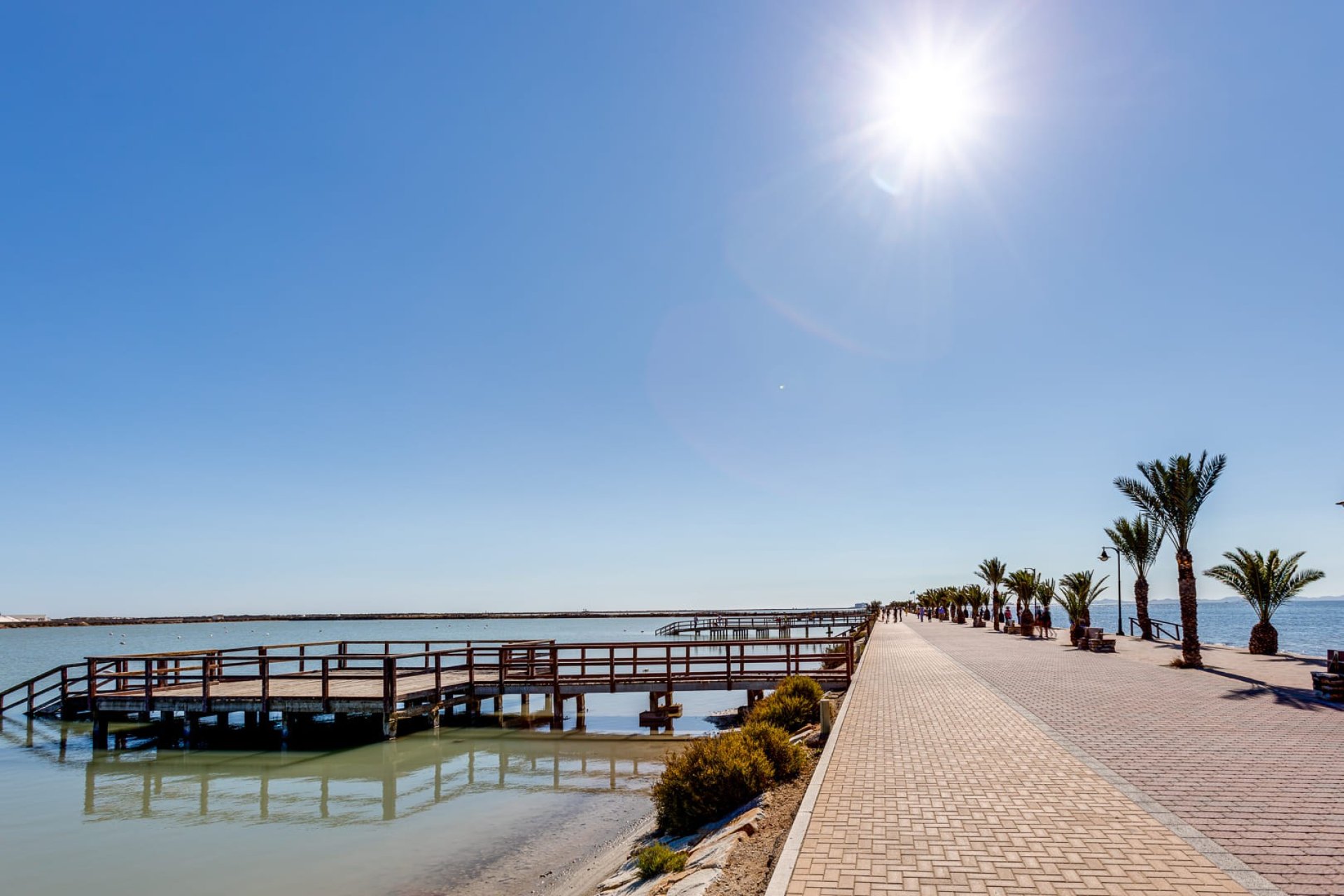 New Build - Villa / Semi semi-detached -
Pilar de la Horadada - Lo Romero Golf