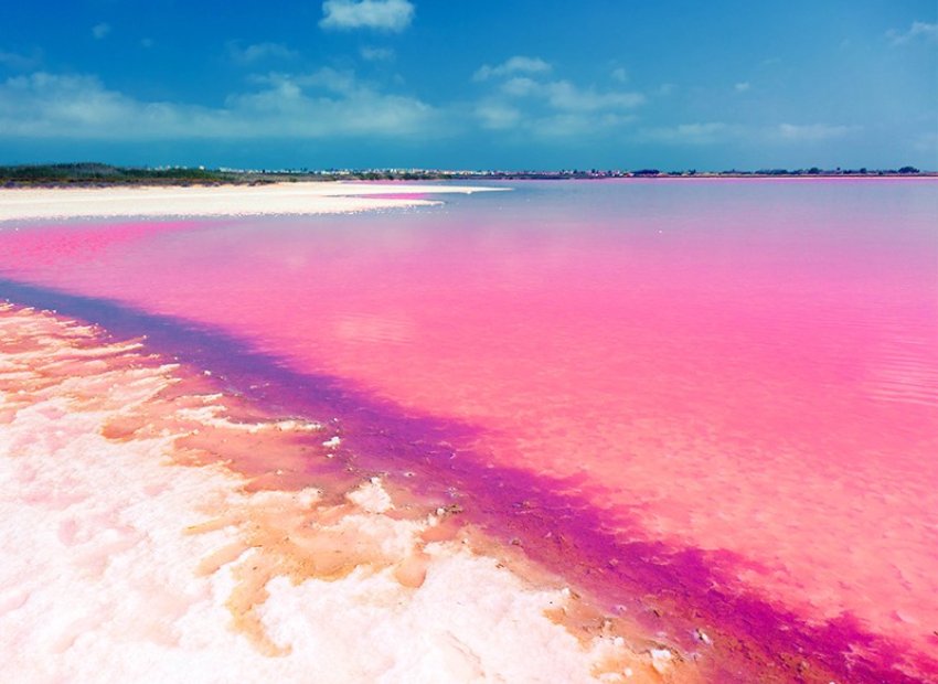 Nieuwbouw - Appartement / flat -
Torrevieja - Nueva Torrevieja - Aguas Nuevas