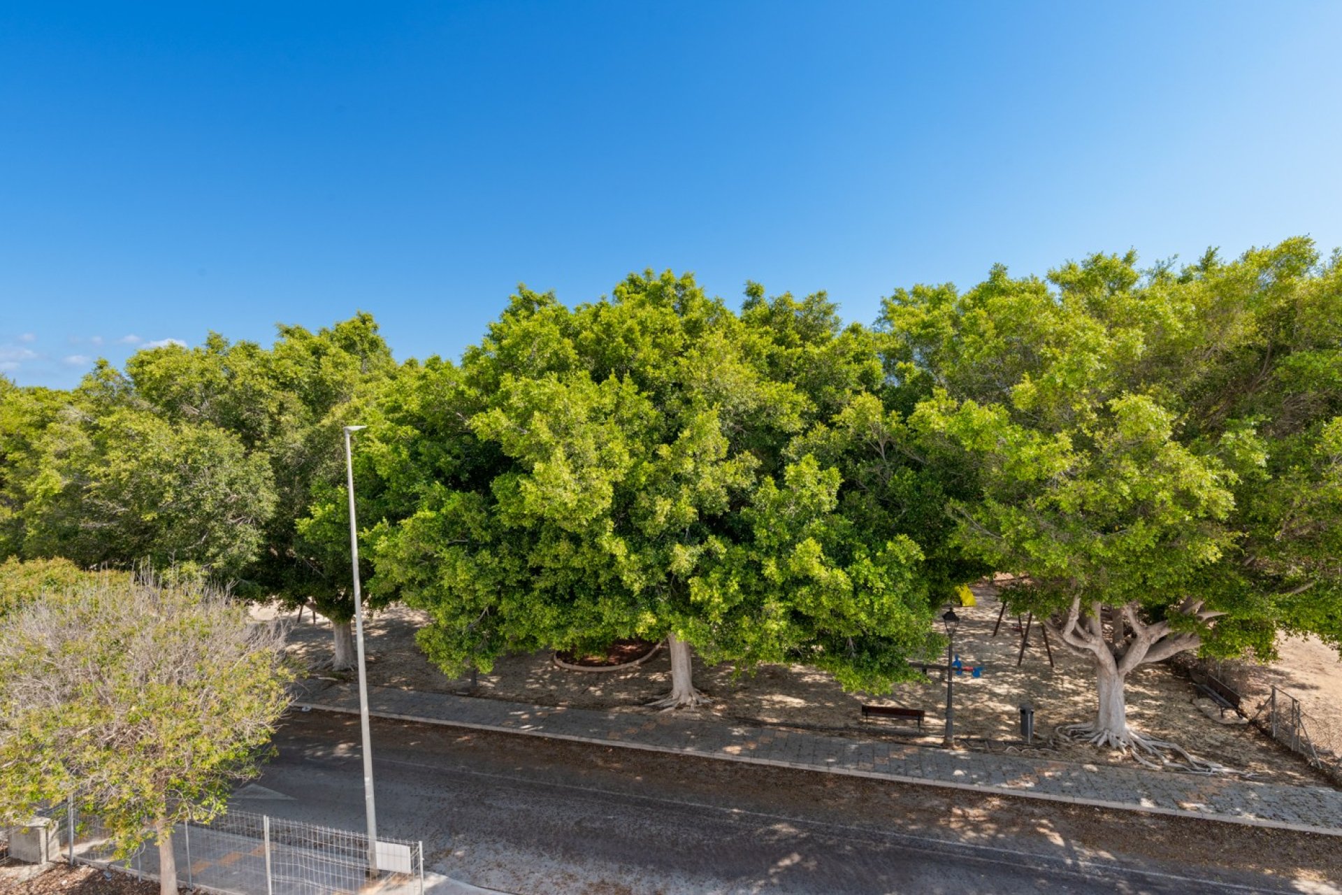 Nieuwbouw - Villa -
Pilar de la Horadada - Playa de Mil Palmeras