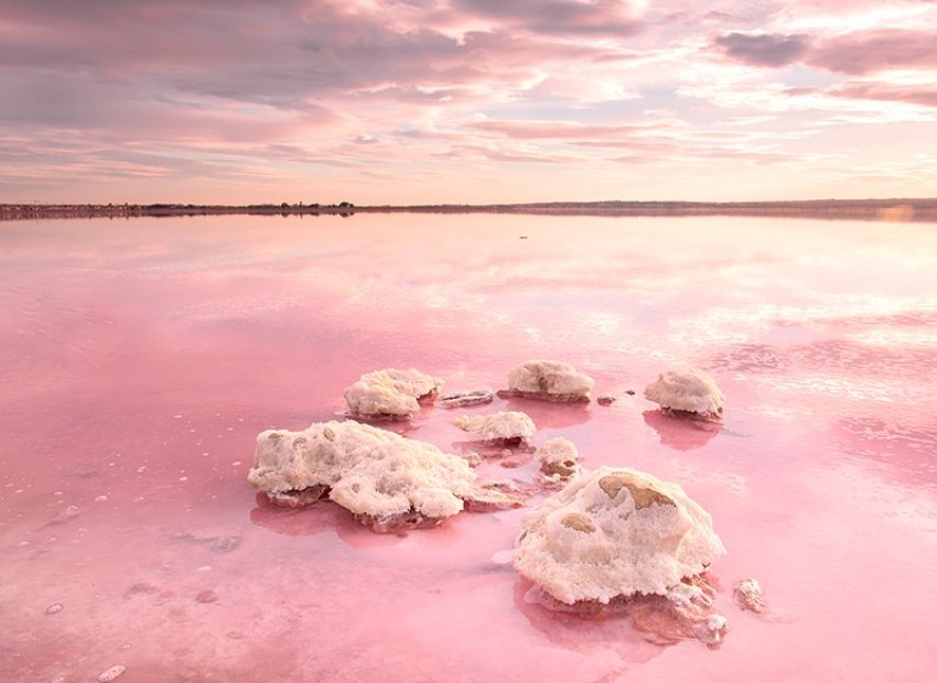 Nouvelle construction - Appartement -
Torrevieja - Nueva Torrevieja - Aguas Nuevas