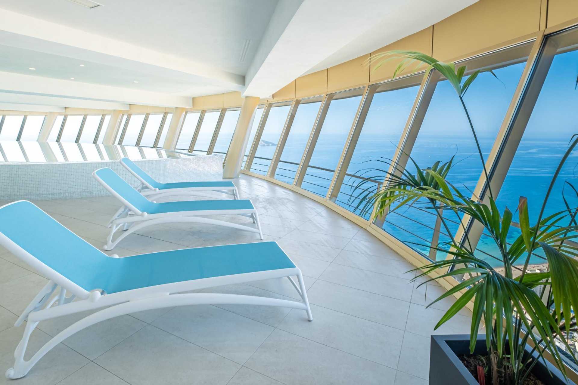 Obra nueva - Apartamento / piso -
Benidorm - Zona de Poniente