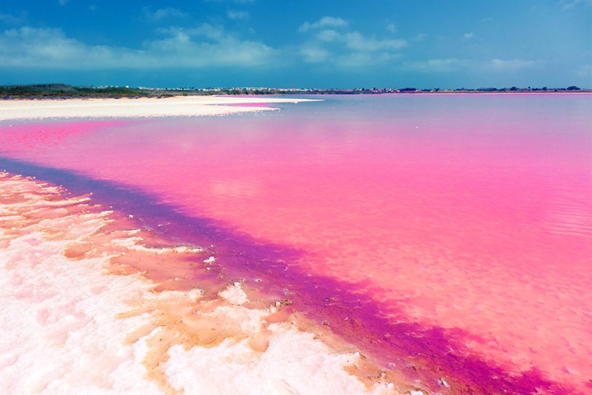 Obra nueva - Apartamento / piso -
Torrevieja - Nueva Torrevieja - Aguas Nuevas