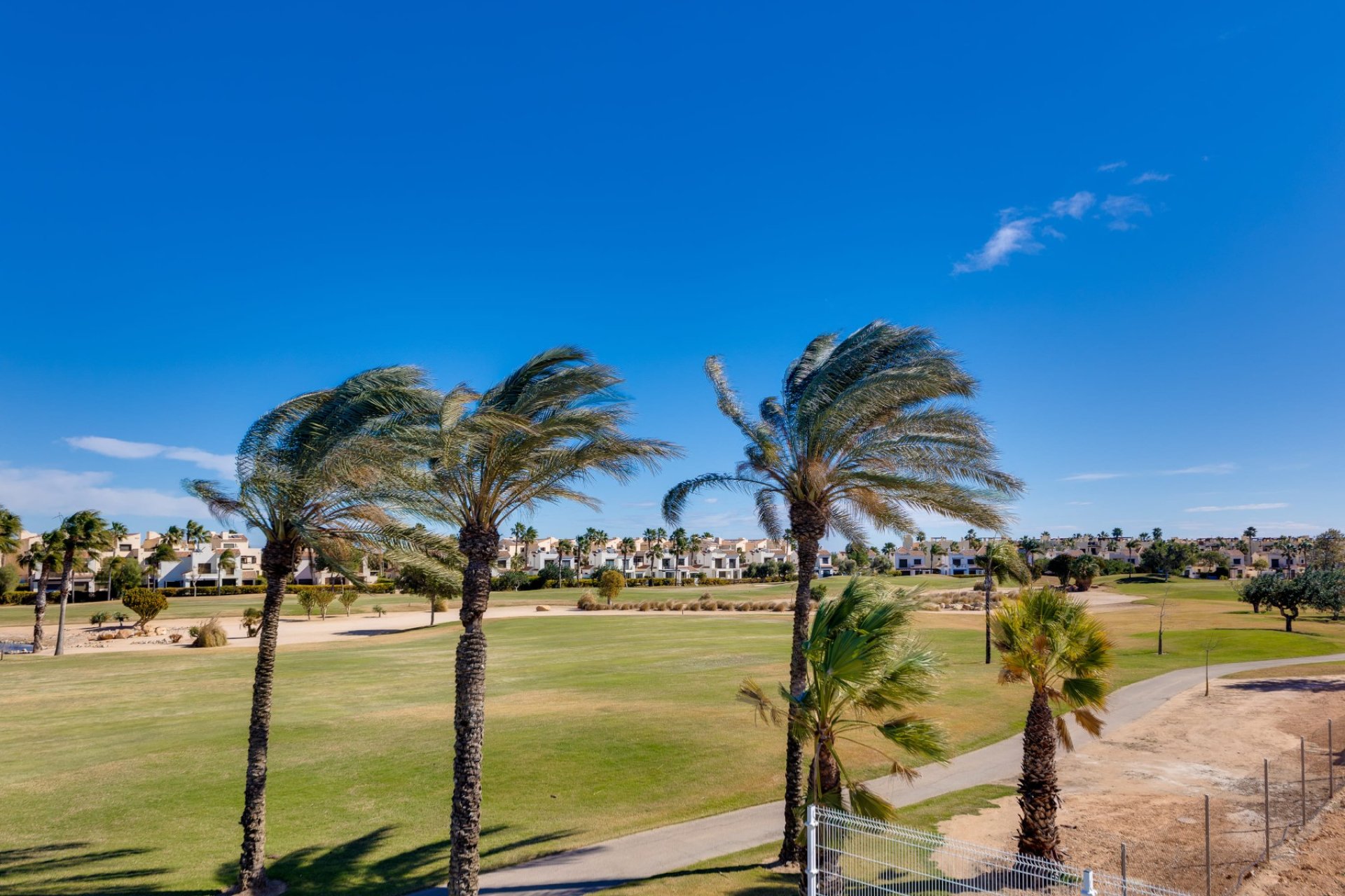 Obra nueva - Villa -
Pilar de la Horadada - Lo Romero Golf