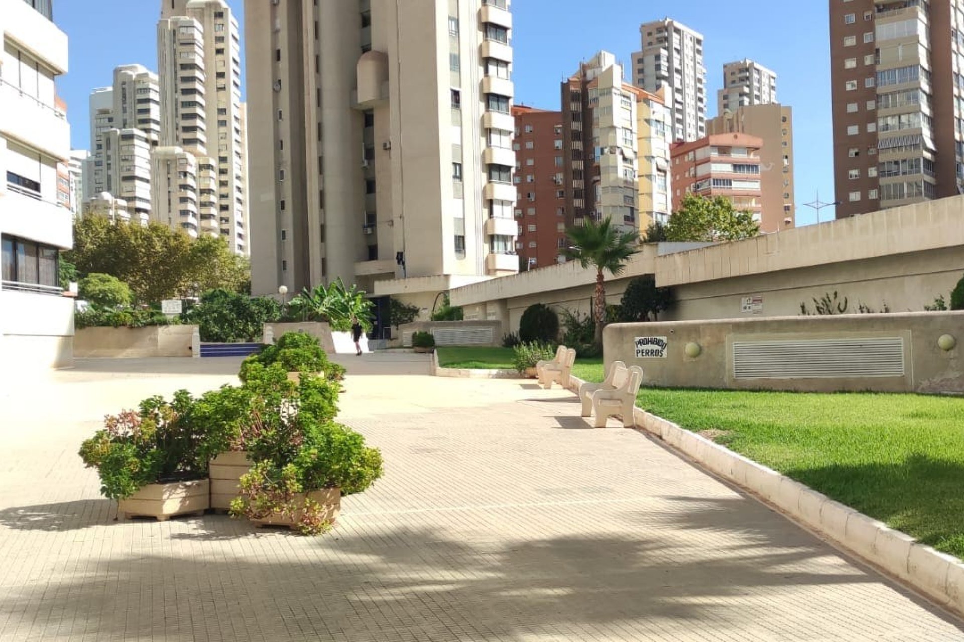 Odsprzedaż - Daszek -
Benidorm - Zona de Poniente