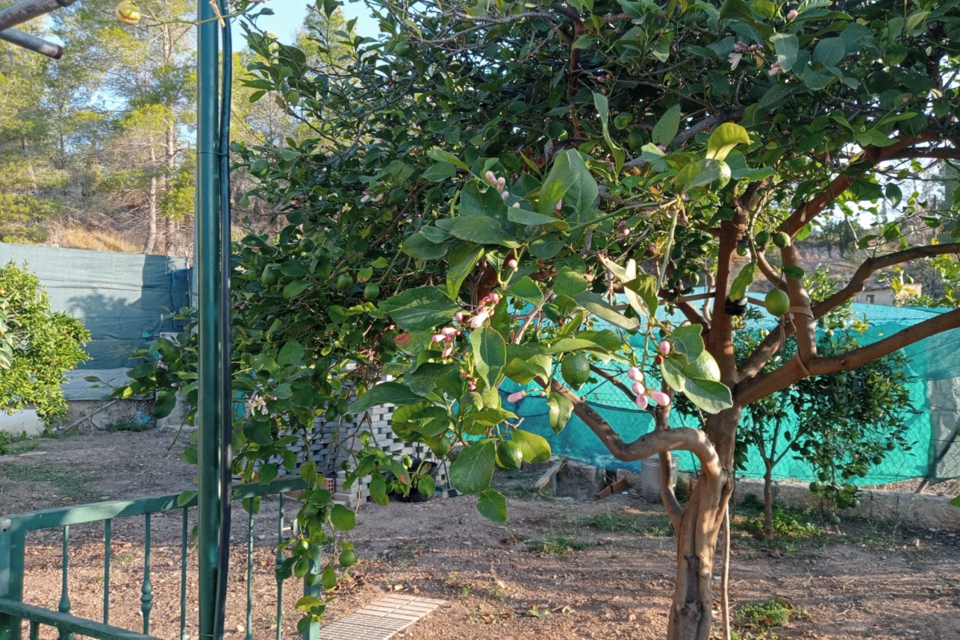 Odsprzedaż / Rynek wtórny - Dom -
La Nucía