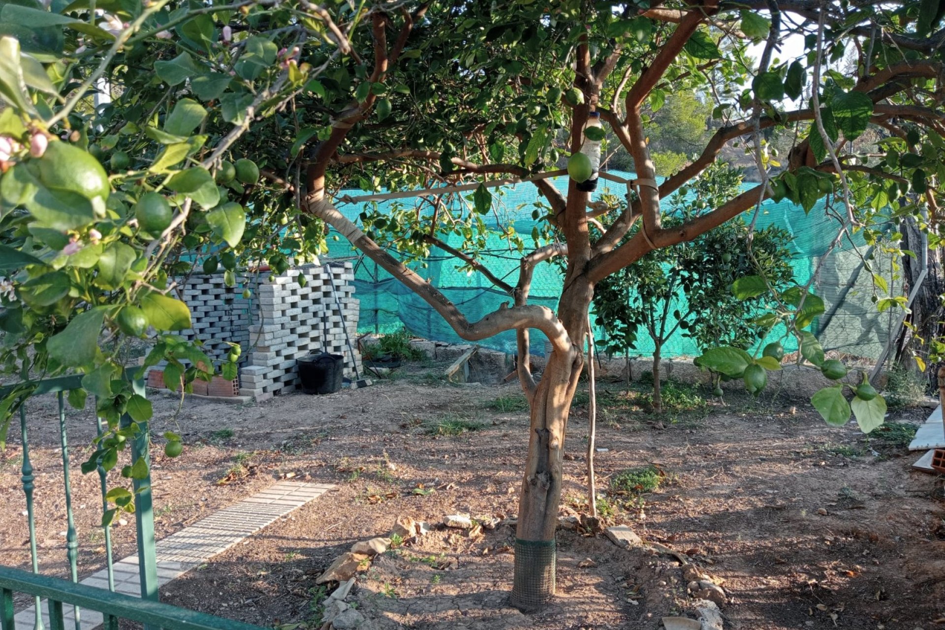 Odsprzedaż / Rynek wtórny - Dom -
La Nucía