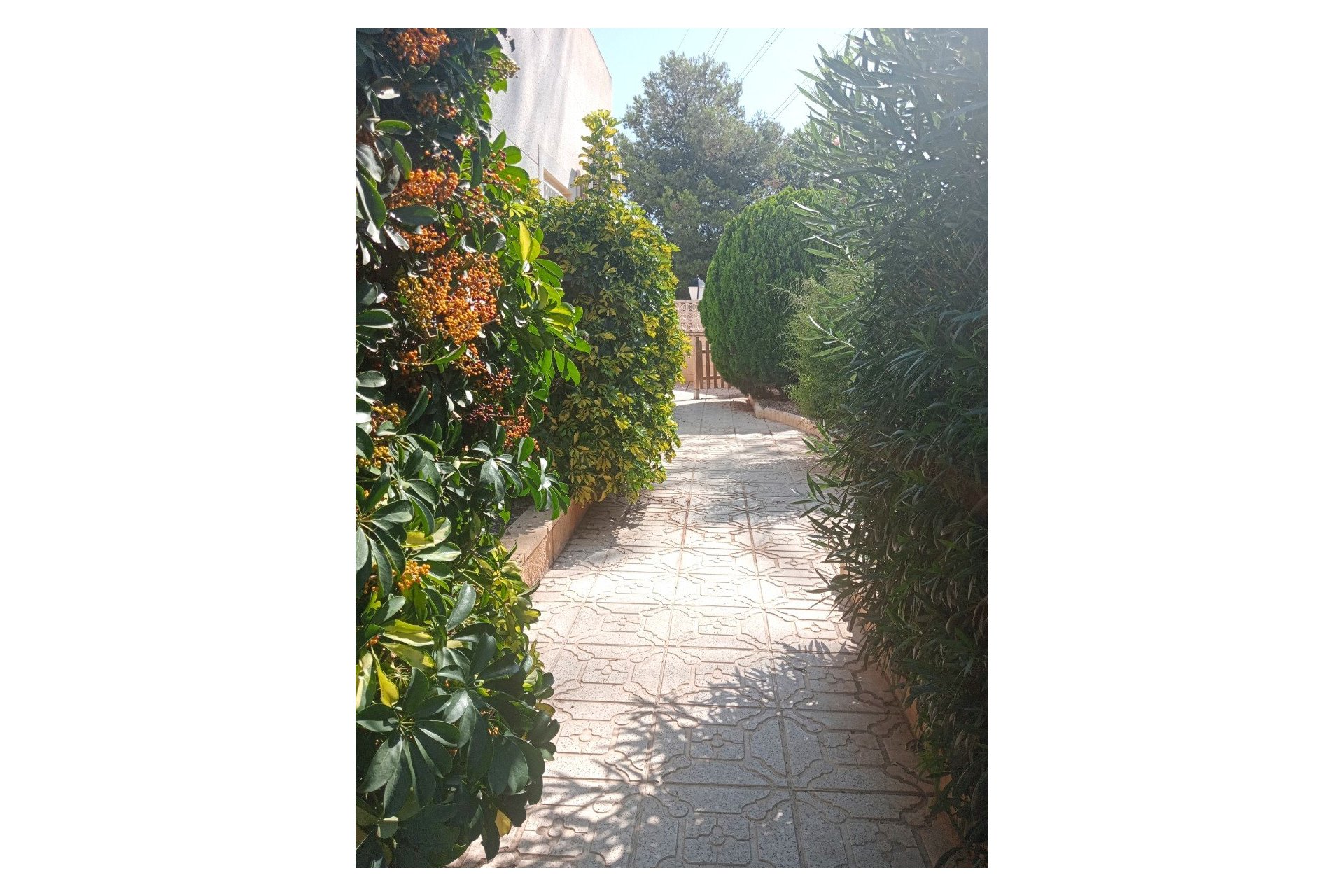 Odsprzedaż / Rynek wtórny - Dom wolnostojący  -
Polop