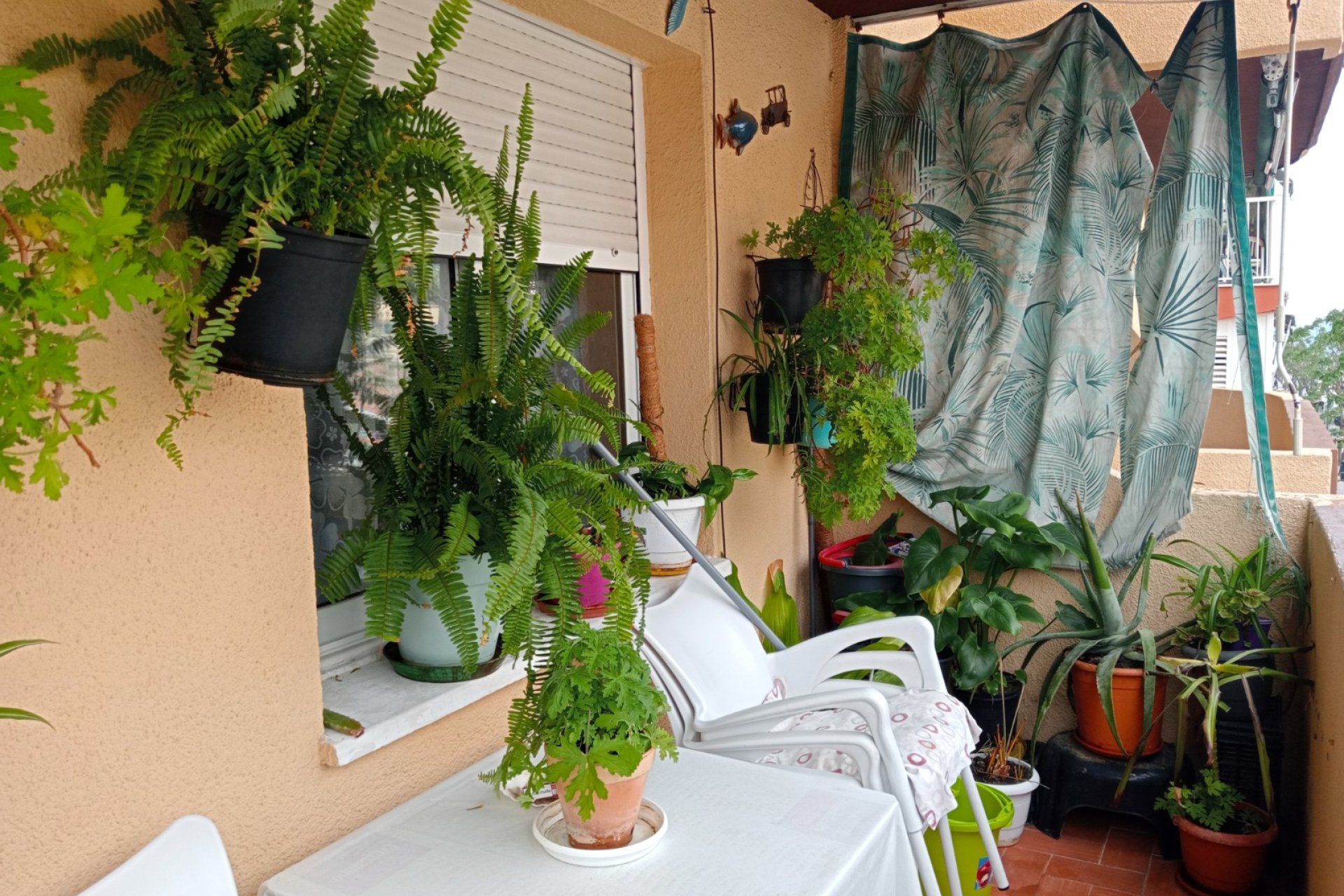 Odsprzedaż / Rynek wtórny - Mieszkanie -
Benidorm - Levante